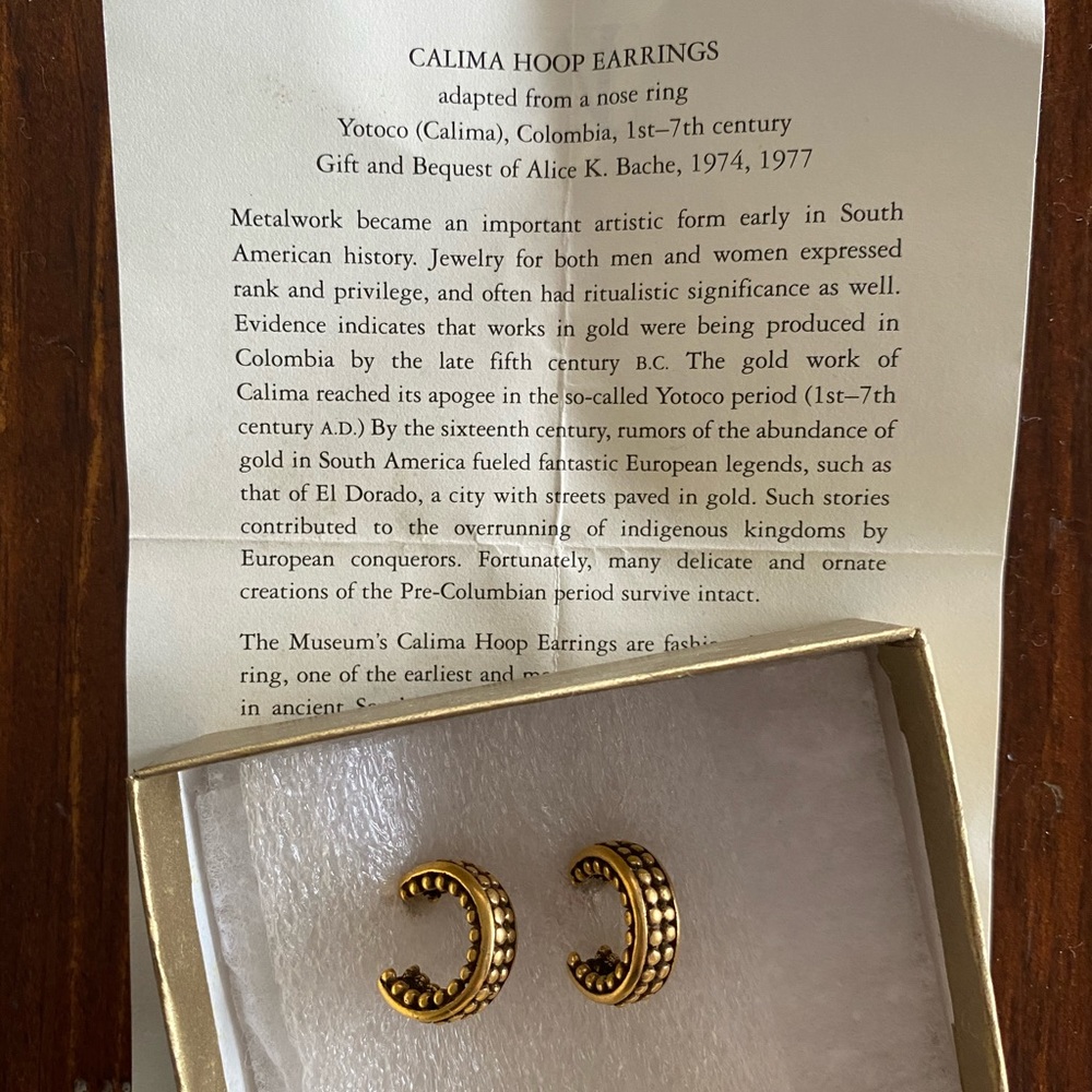 Earrings